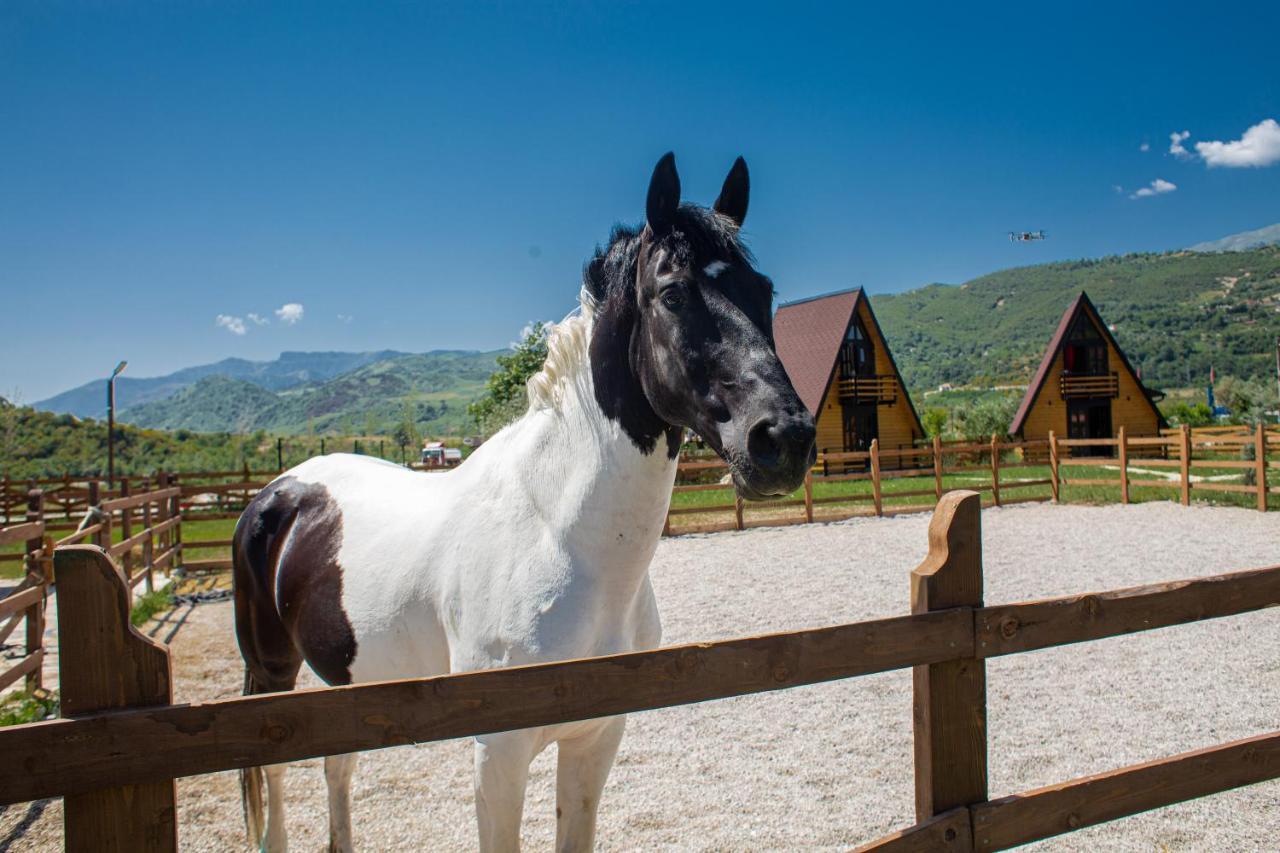 Sancho Farm Albania Villa Memaliaj Kültér fotó