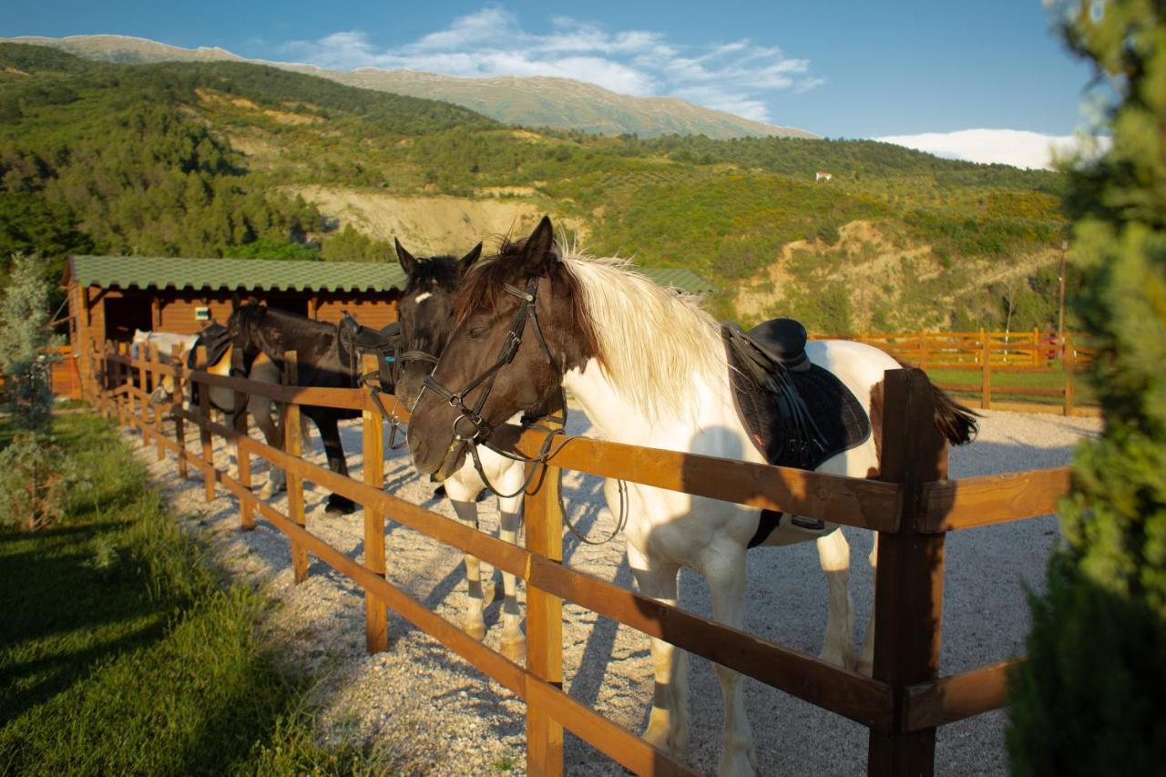 Sancho Farm Albania Villa Memaliaj Kültér fotó