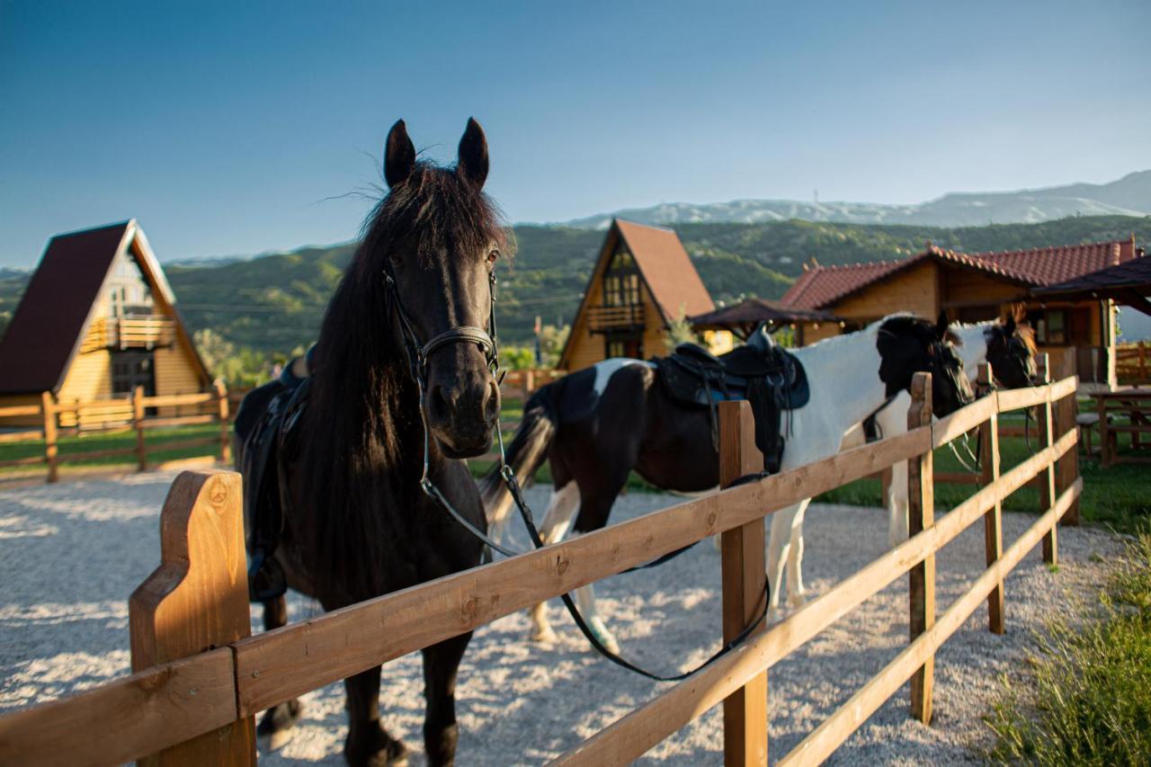 Sancho Farm Albania Villa Memaliaj Kültér fotó