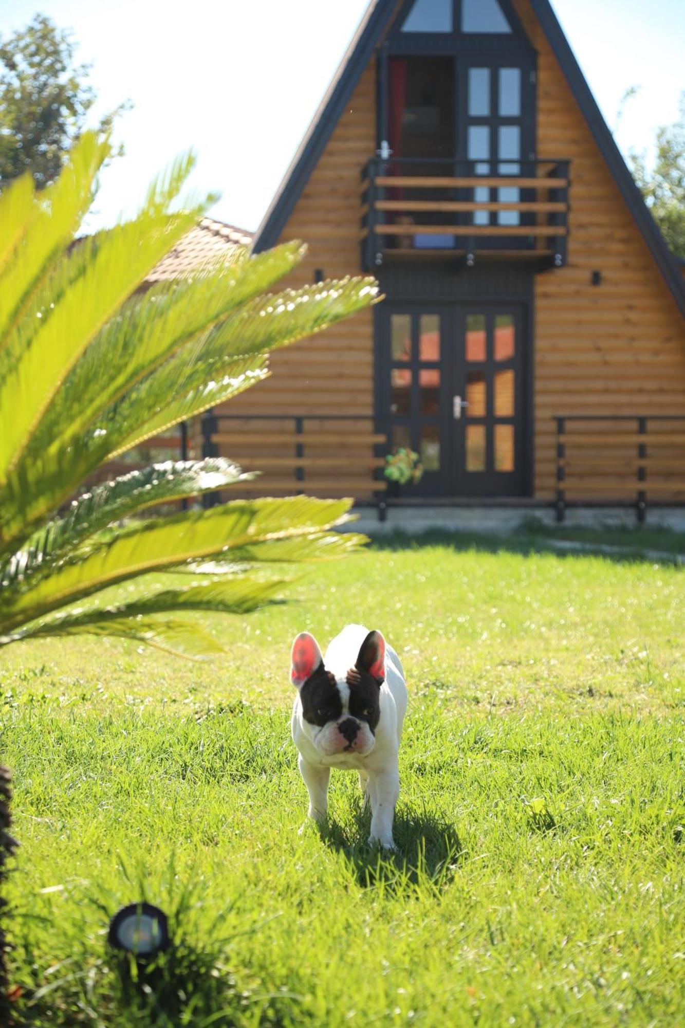 Sancho Farm Albania Villa Memaliaj Kültér fotó