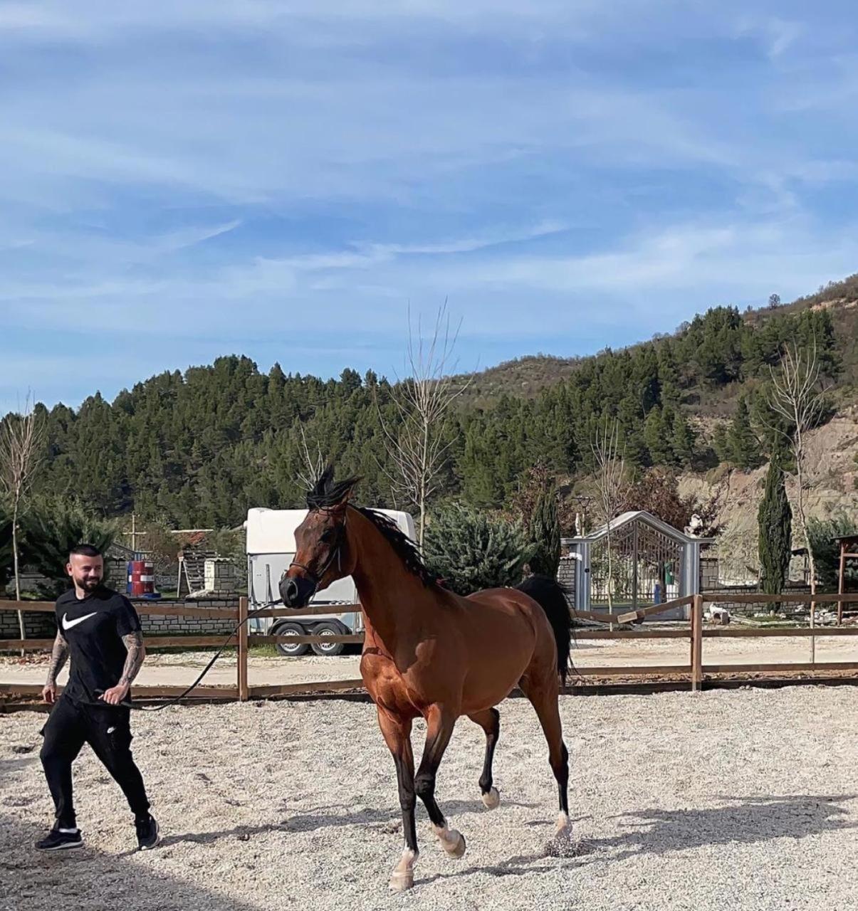 Sancho Farm Albania Villa Memaliaj Kültér fotó