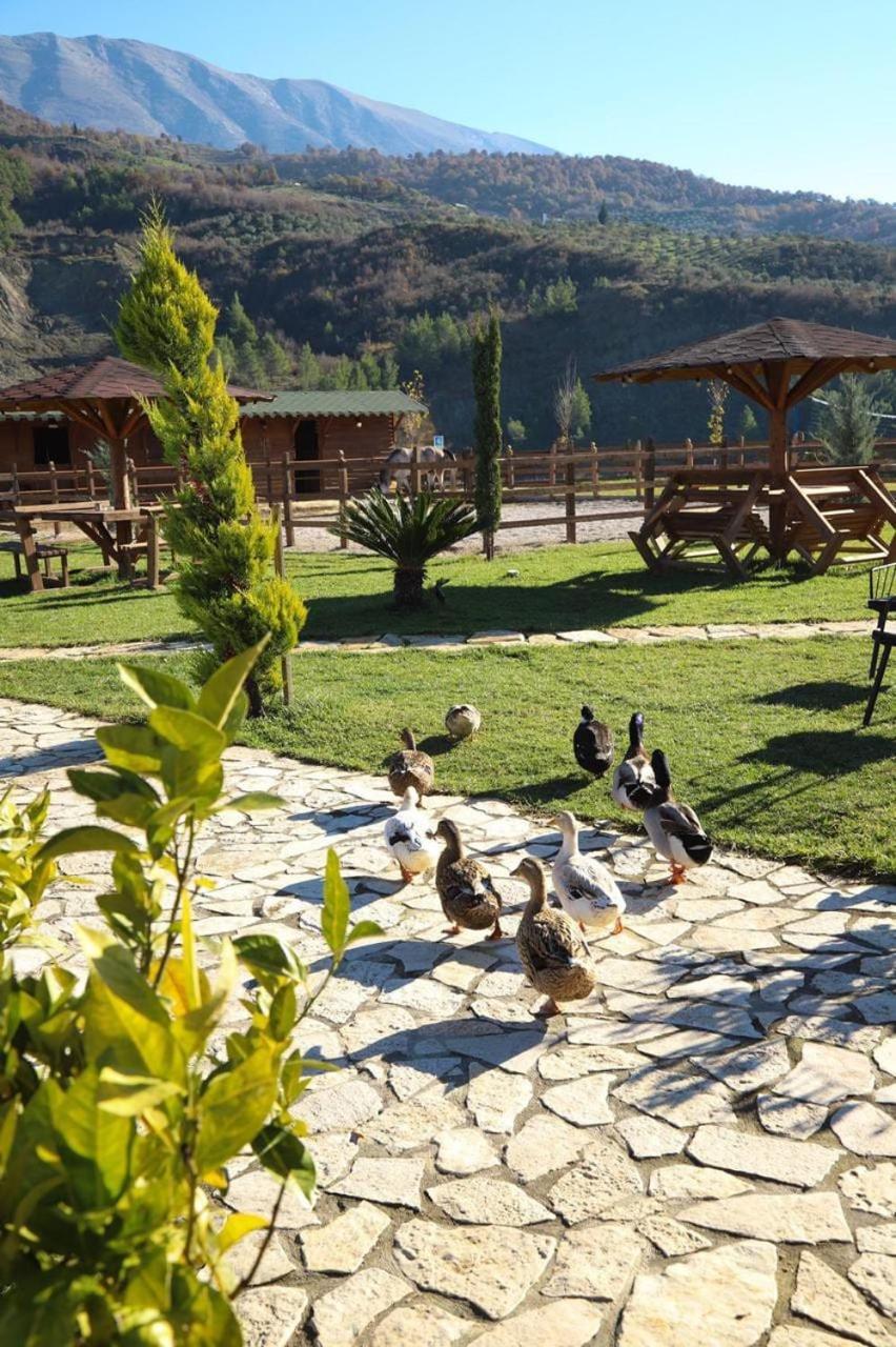 Sancho Farm Albania Villa Memaliaj Kültér fotó