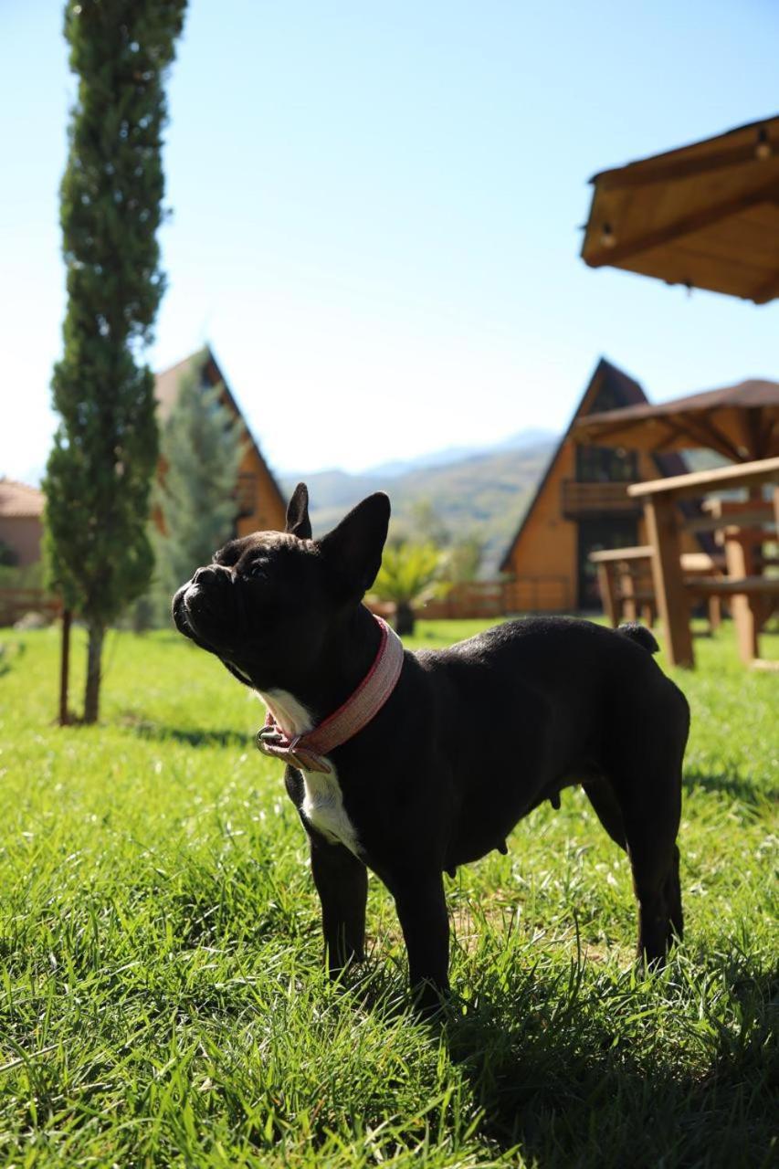 Sancho Farm Albania Villa Memaliaj Kültér fotó